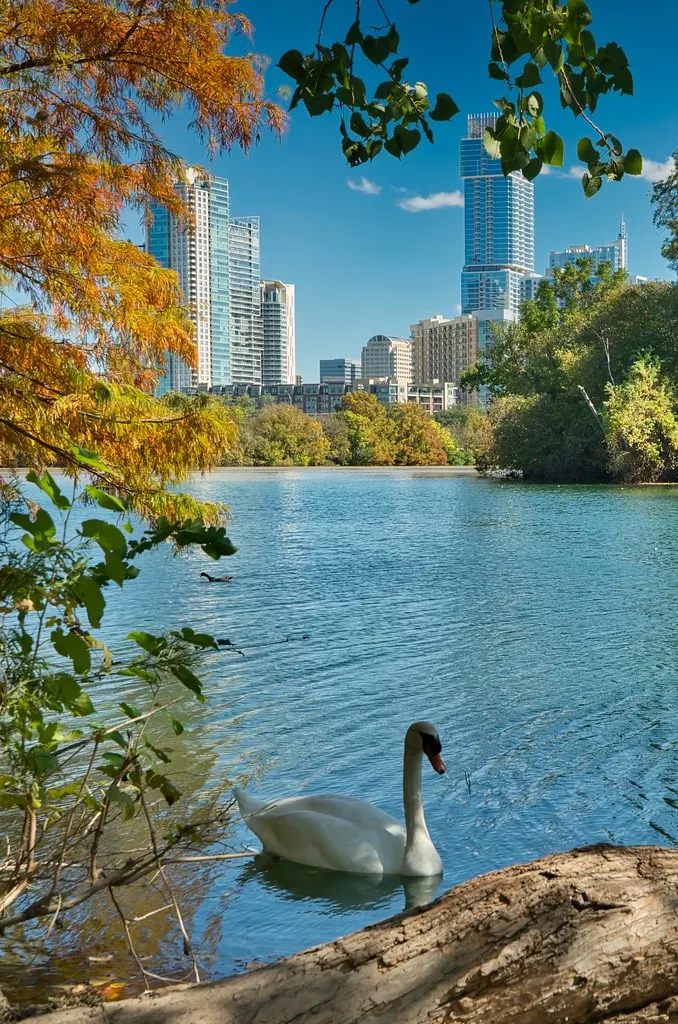 Alliance Children's Garden at Butler Park — Austin, TX