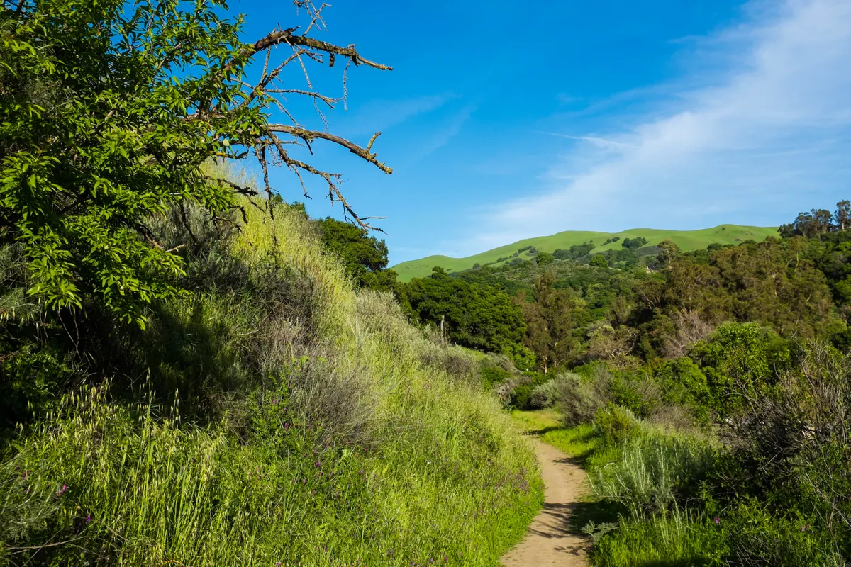 Children's playground amid creek trails at Alum Rock Park — San Jose, CA