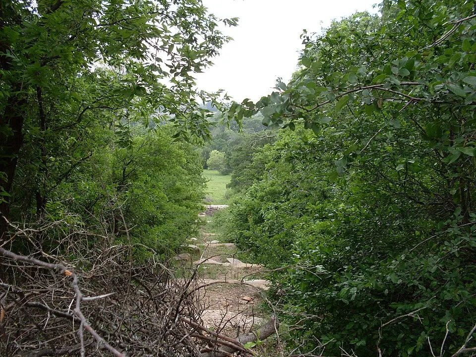 Arbor Hills Nature Preserve — Plano, TX