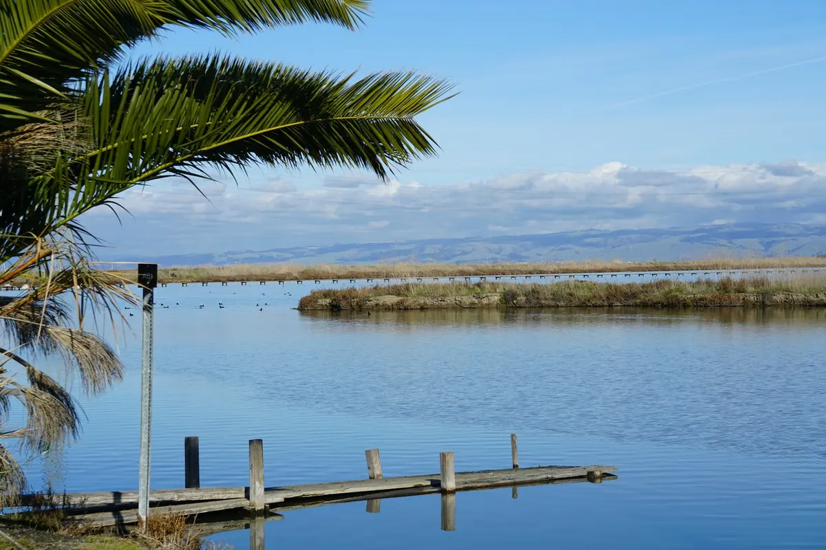 Baylands Nature Preserve — Palo Alto, CA