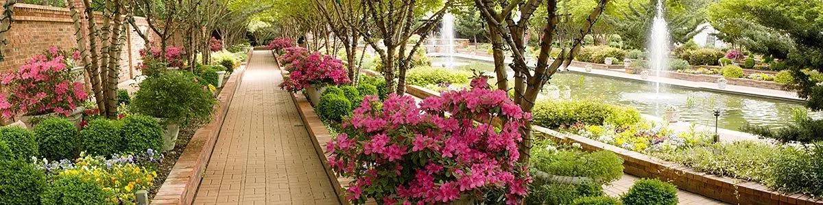 Clark Gardens Botanical Park — Weatherford, TX