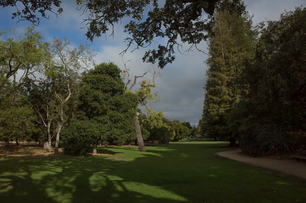 Playground and walking trail beside Matadero Creek at Cornelis Bol Park — Palo Alto, CA