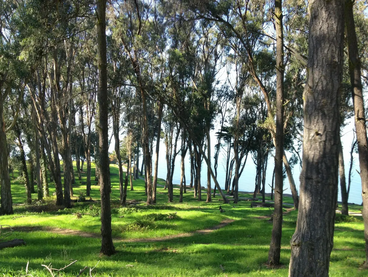 Coyote Point Recreation Area — San Mateo, CA