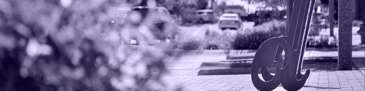 Denton Skate Park — Denton, TX