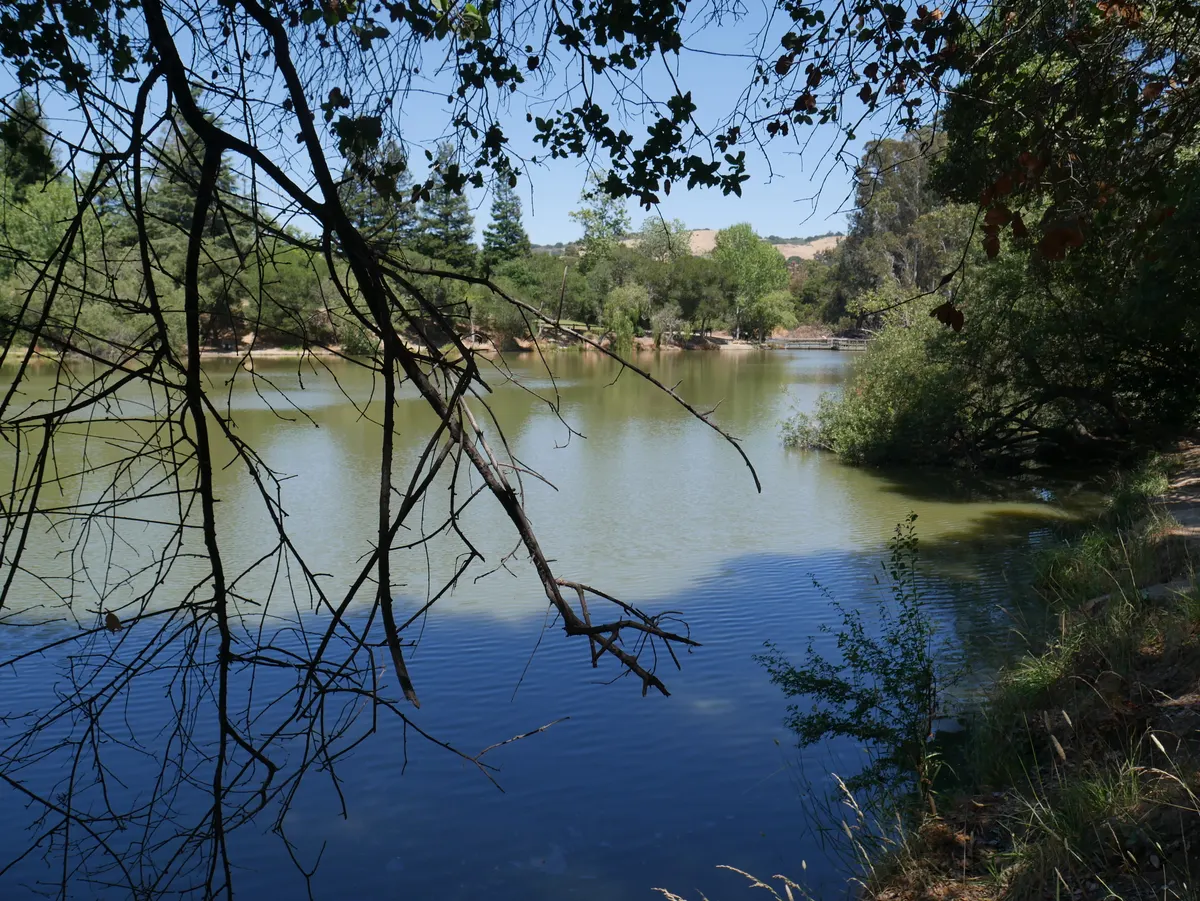Don Castro Regional Recreation Area — Hayward, CA