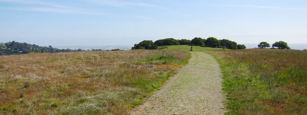 Edgewood County Park and Natural Preserve — Redwood City, CA