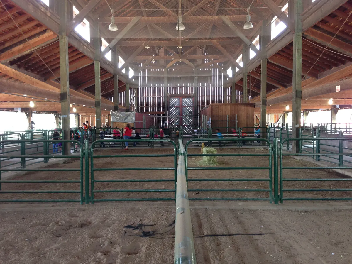 Playground and farm animals at Emma Prusch Farm Park — San Jose, CA
