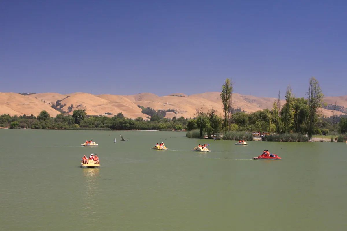 Lake Elizabeth in Fremont Central Park, Fremont CA