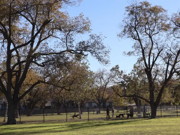 Georgetown Bark Park — Georgetown, TX
