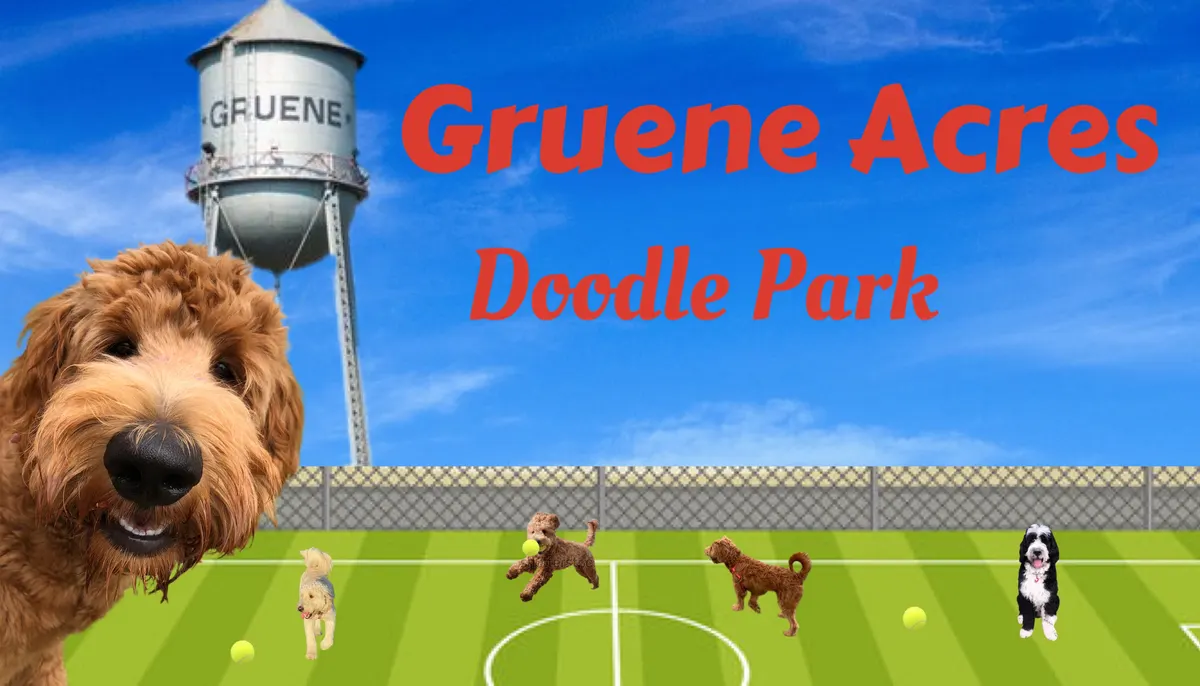 Gruene Acres Doodle Park — New Braunfels, TX