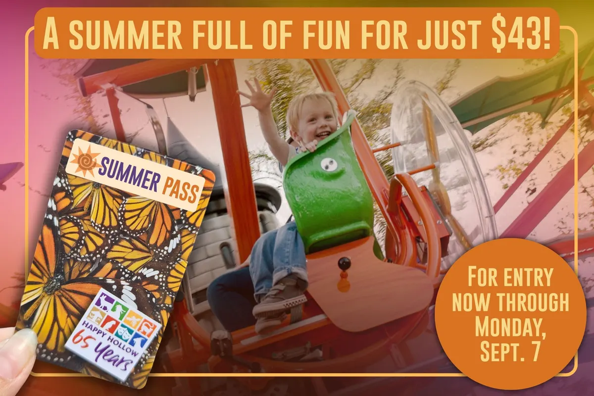 Lookout tower slides and climbing structures at Happy Hollow Park & Zoo — San Jose, CA