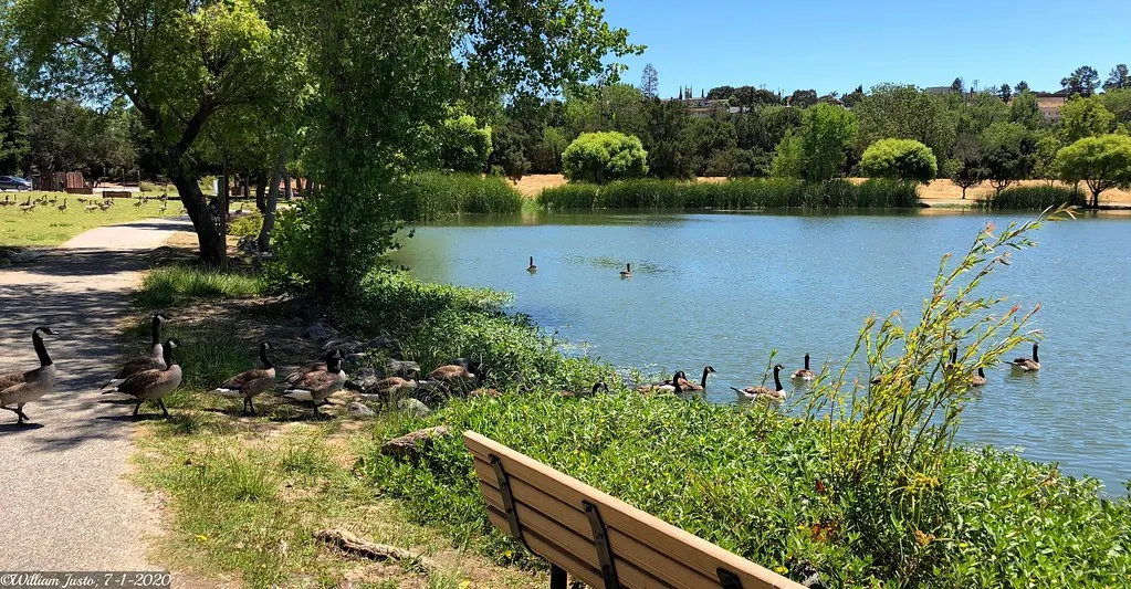 Cargo-net climbing and rock formation splash pad at Hellyer County Park — San Jose, CA