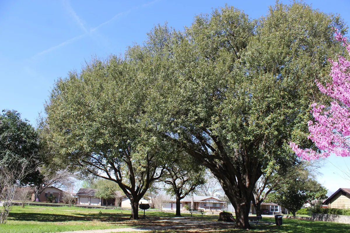 Heritage Oaks Park — Schertz, TX