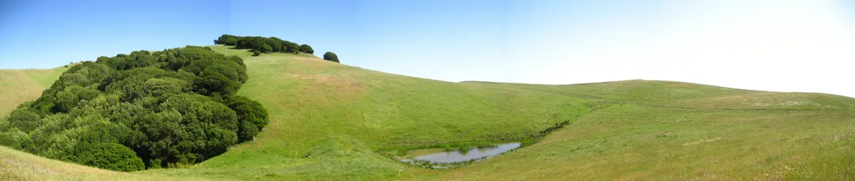 Garin Regional Park, Hayward CA