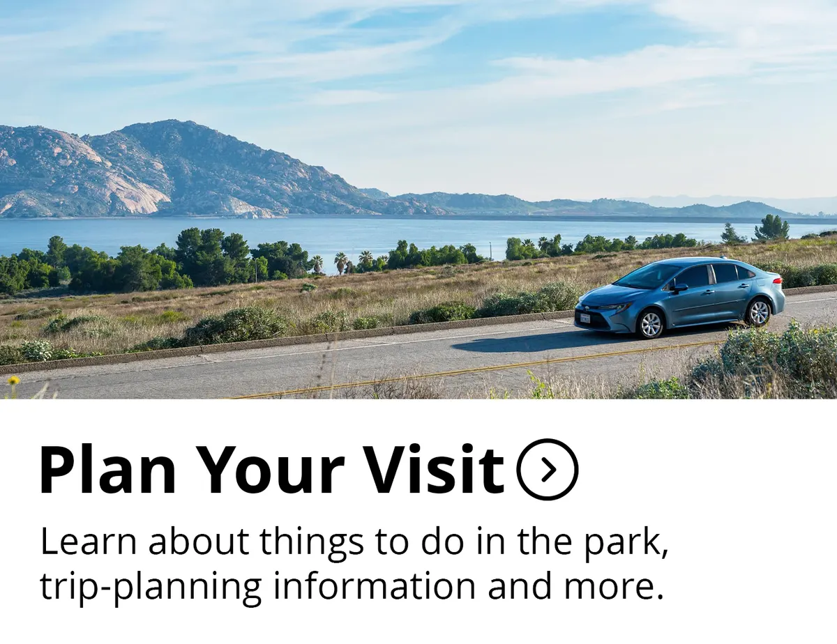 Lake Perris State Recreation Area shoreline