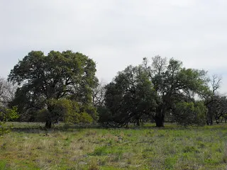 Lakeline Park — Cedar Park, TX