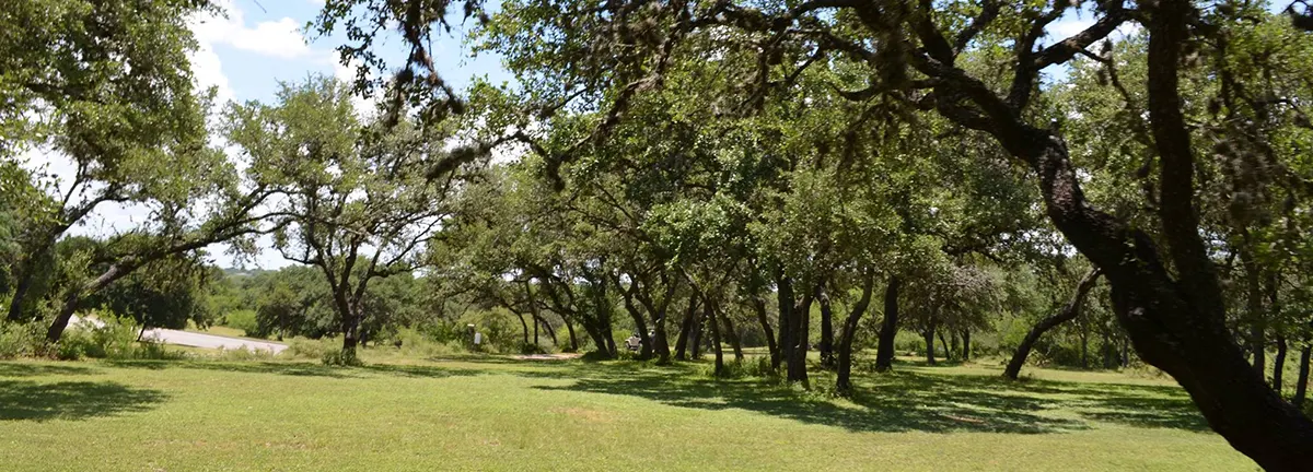 Live Oak Main City Park — Live Oak, TX