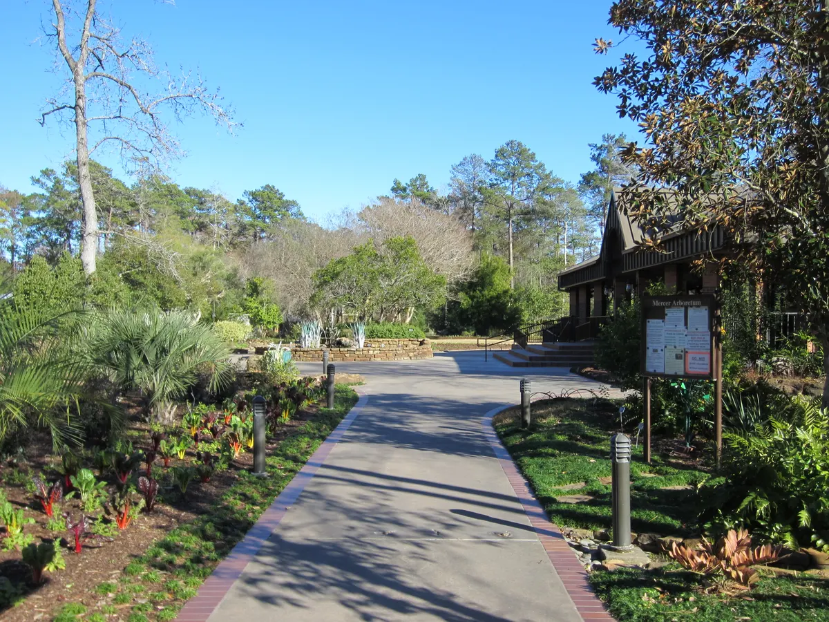 Mercer Arboretum and Botanical Gardens — Humble, TX