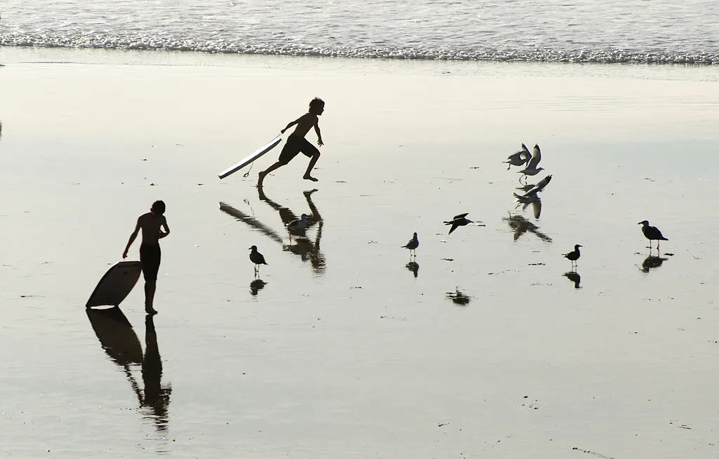 Moonlight State Beach new ocean-view tot lot playground — Encinitas, CA