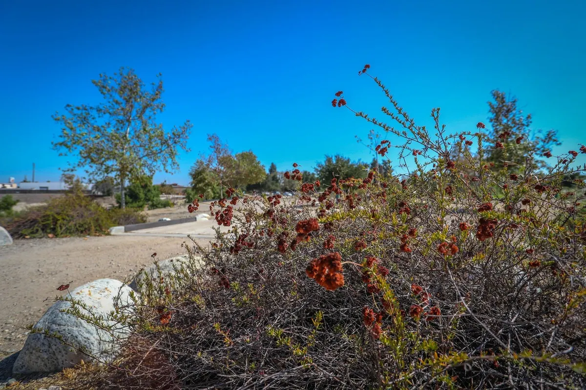 Playground next to the fishing pond at Peck Road Water Conservation Park — Arcadia, CA