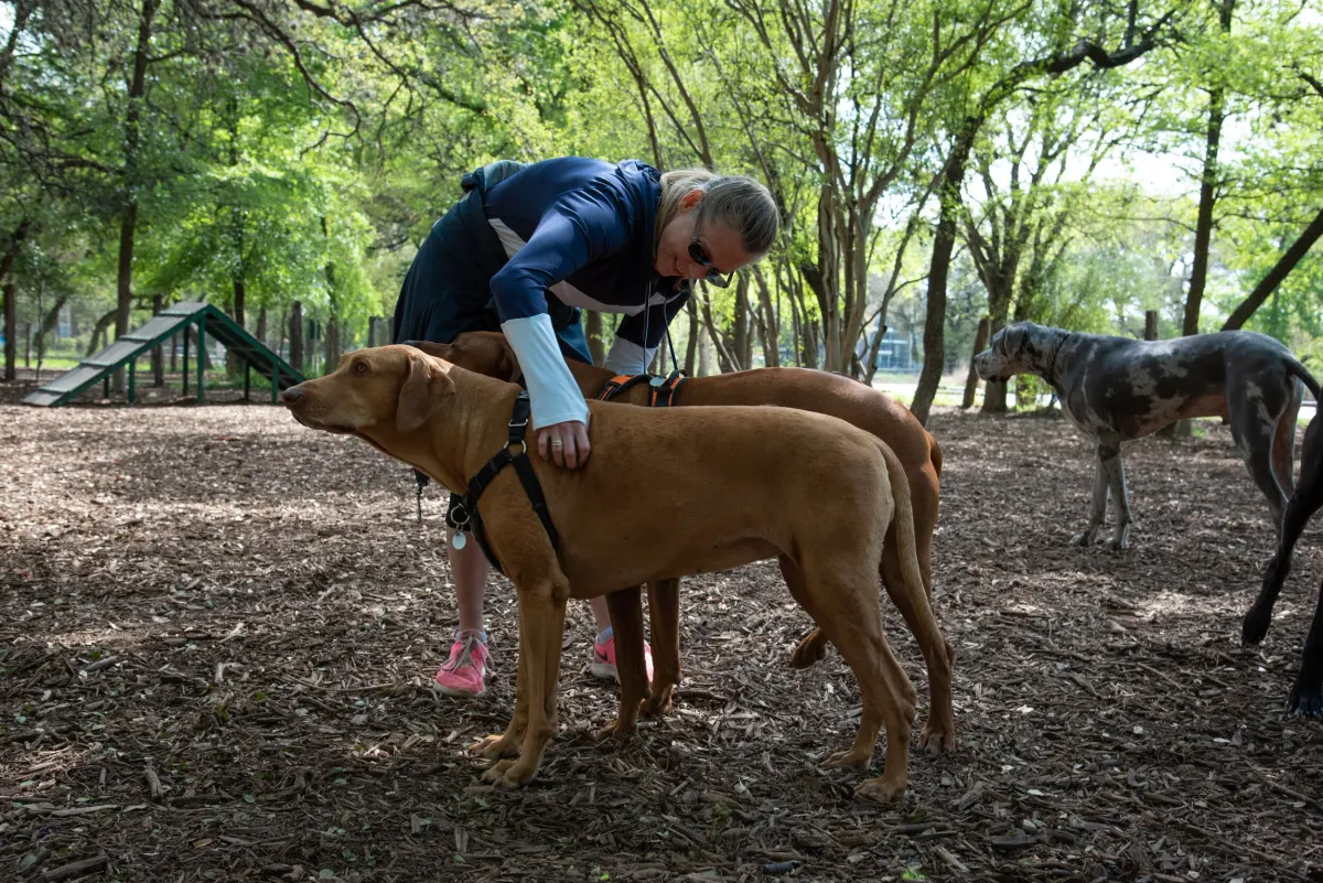 Phil Hardberger Park East Dog Park — San Antonio, TX
