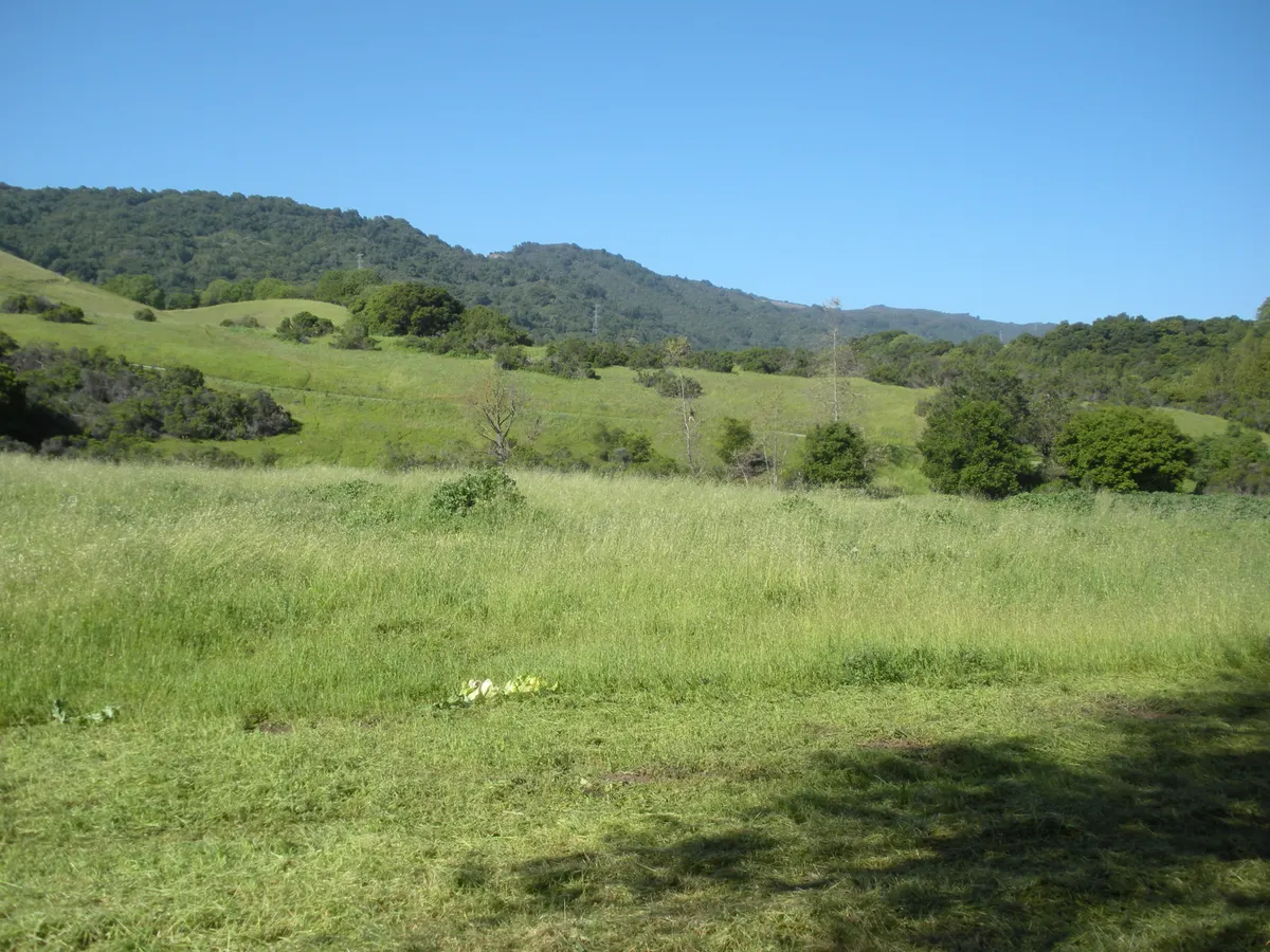 Playground at Rancho San Antonio County Park — Los Altos, CA