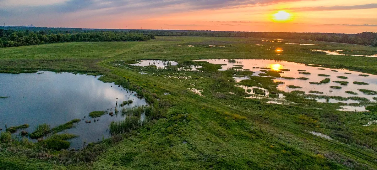 Sheldon Lake State Park — Houston, TX