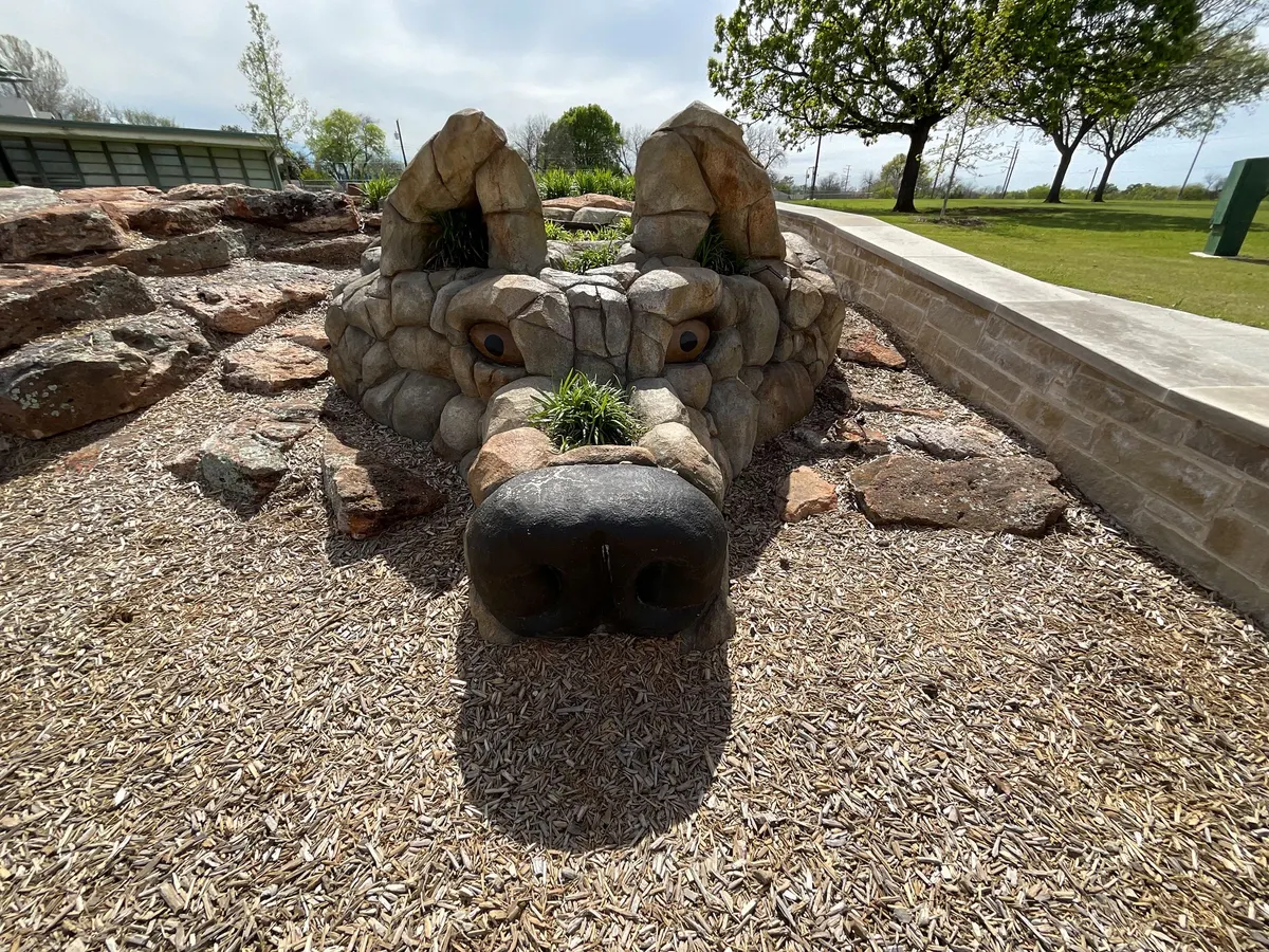 Wolf-head and turtle climbing playground at Tinsley Park — Garland, TX