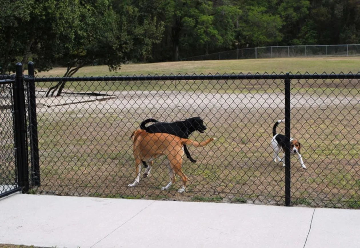 Waggin' Trail Dog Park in Orange City, FL