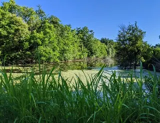 Walnut Creek Metro Park — Austin, TX